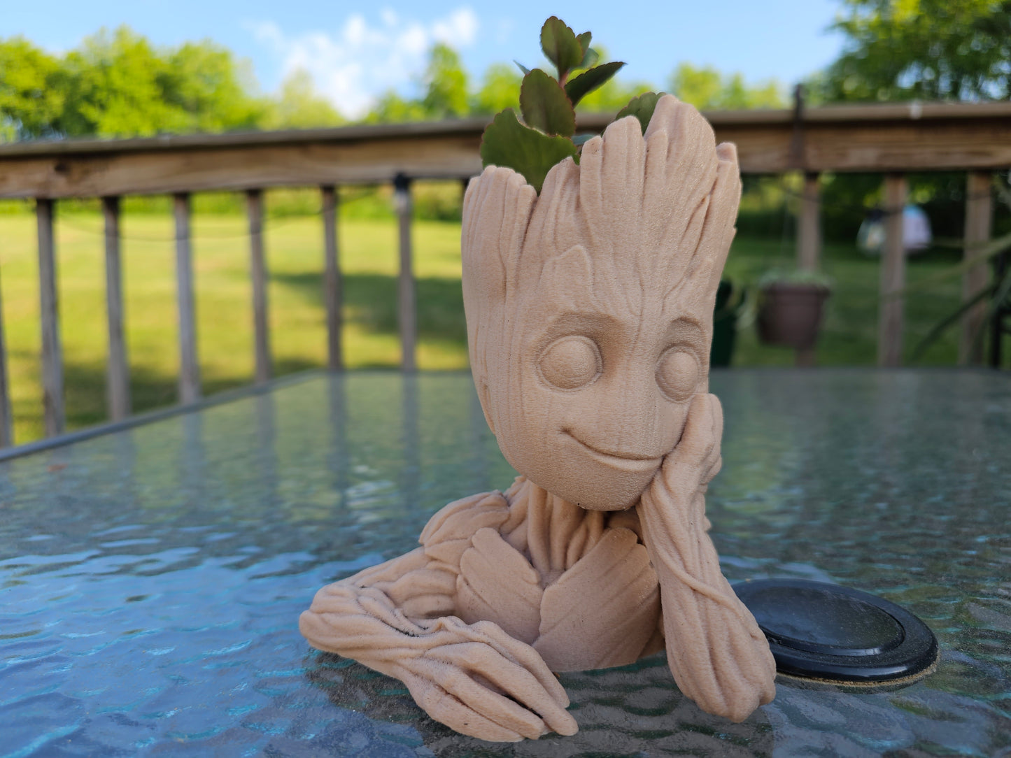 Groot plant holder