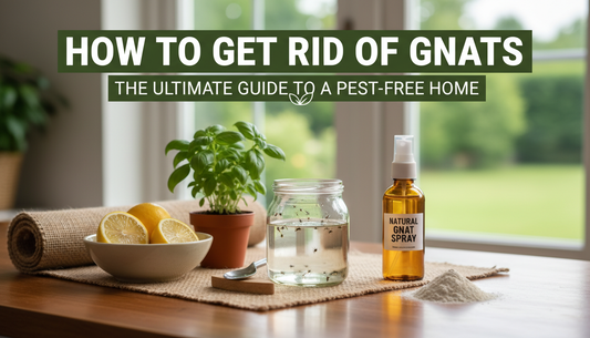 How to Get Rid of Gnats: The Ultimate Guide to a Pest-Free Home